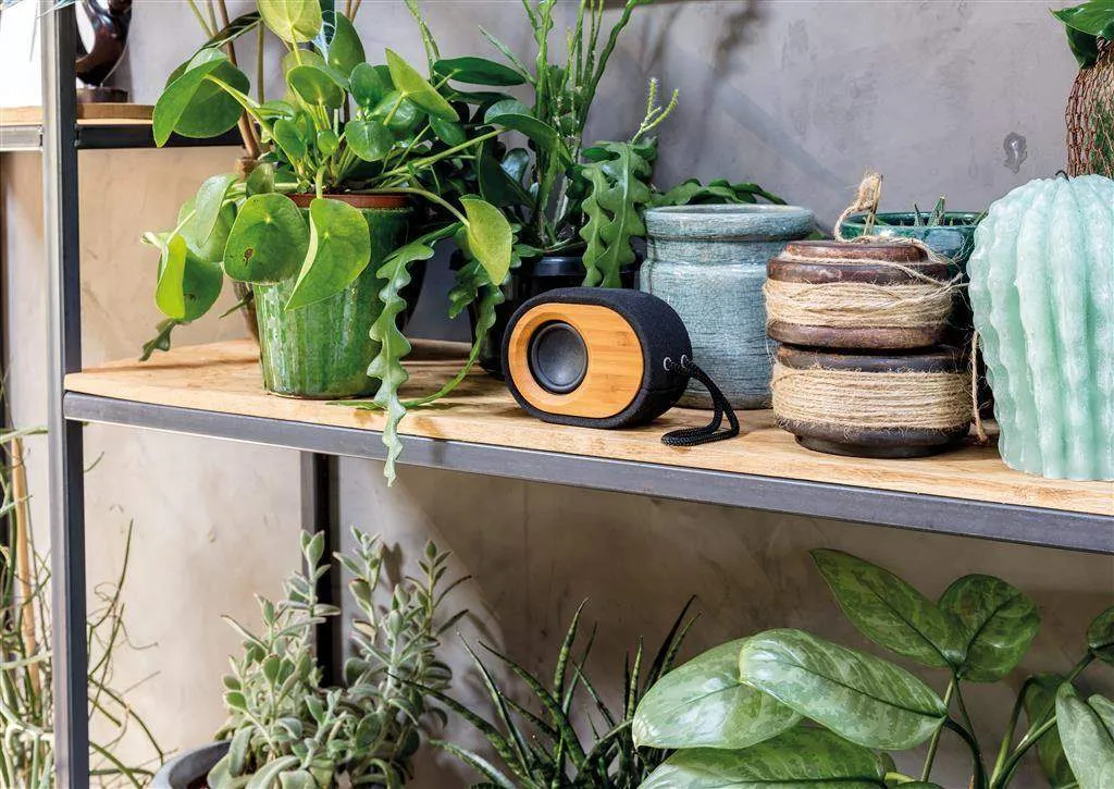 Bamboo X Speaker