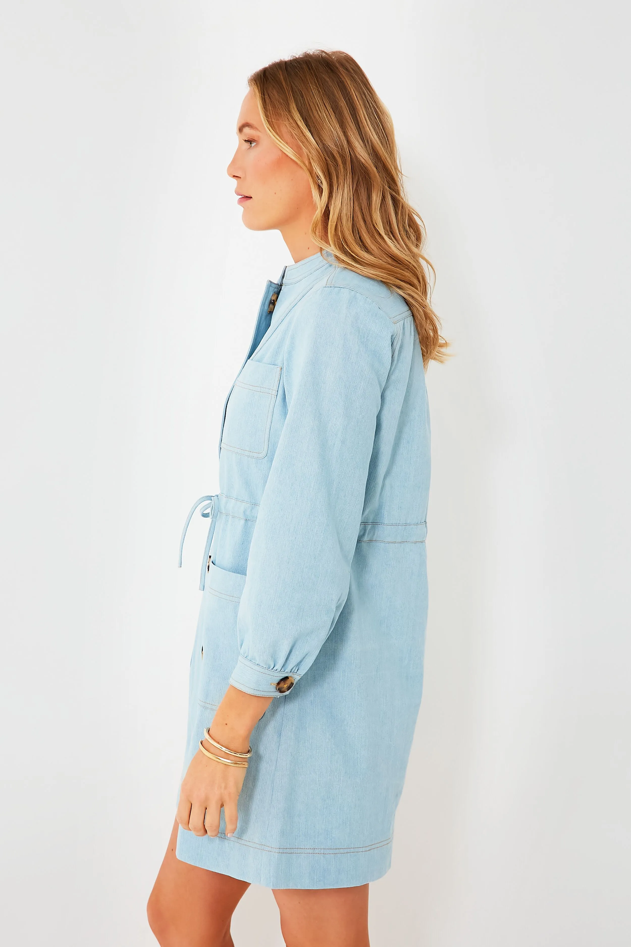 Chambray Crosby Dress