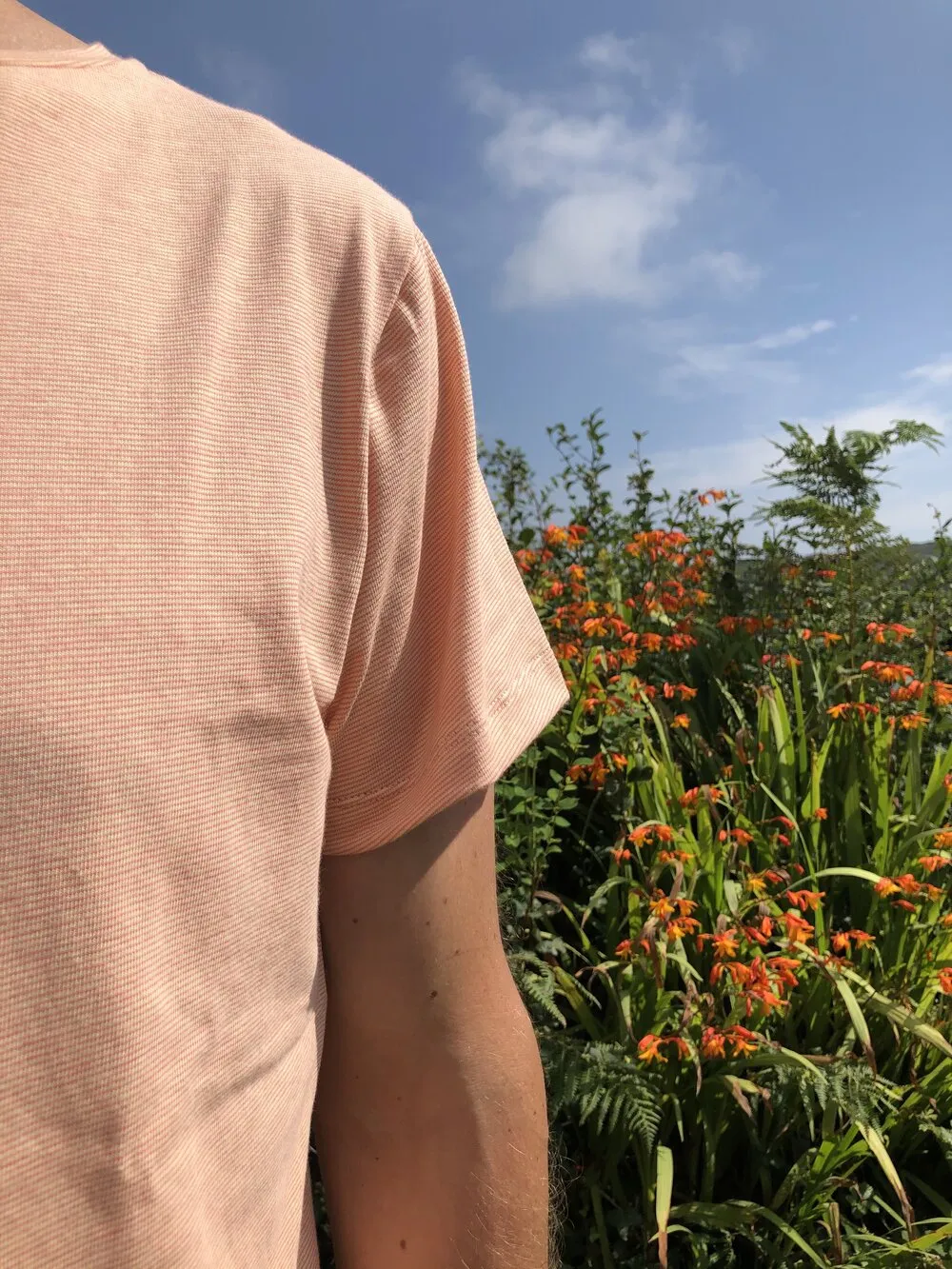 {Clearance Stock} Organic Orange Fine Stripe Tee