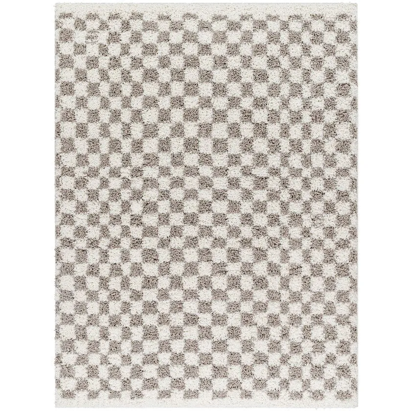 Emmitt Modern Light Gray Area Rug