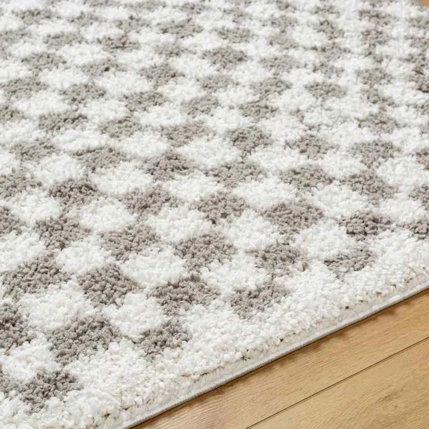 Emmitt Modern Light Gray Area Rug