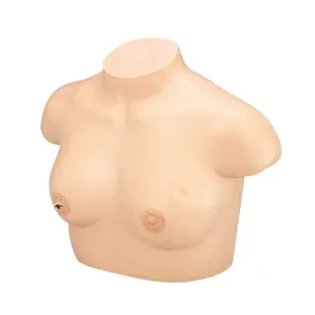 Inspection and Palpation of Breast Cancer Training Model (Precision Type)
