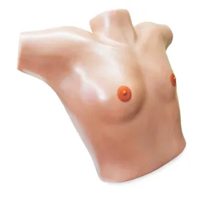 Mastotrainer Breast Surgical Trainer, Small And Asymmetrical