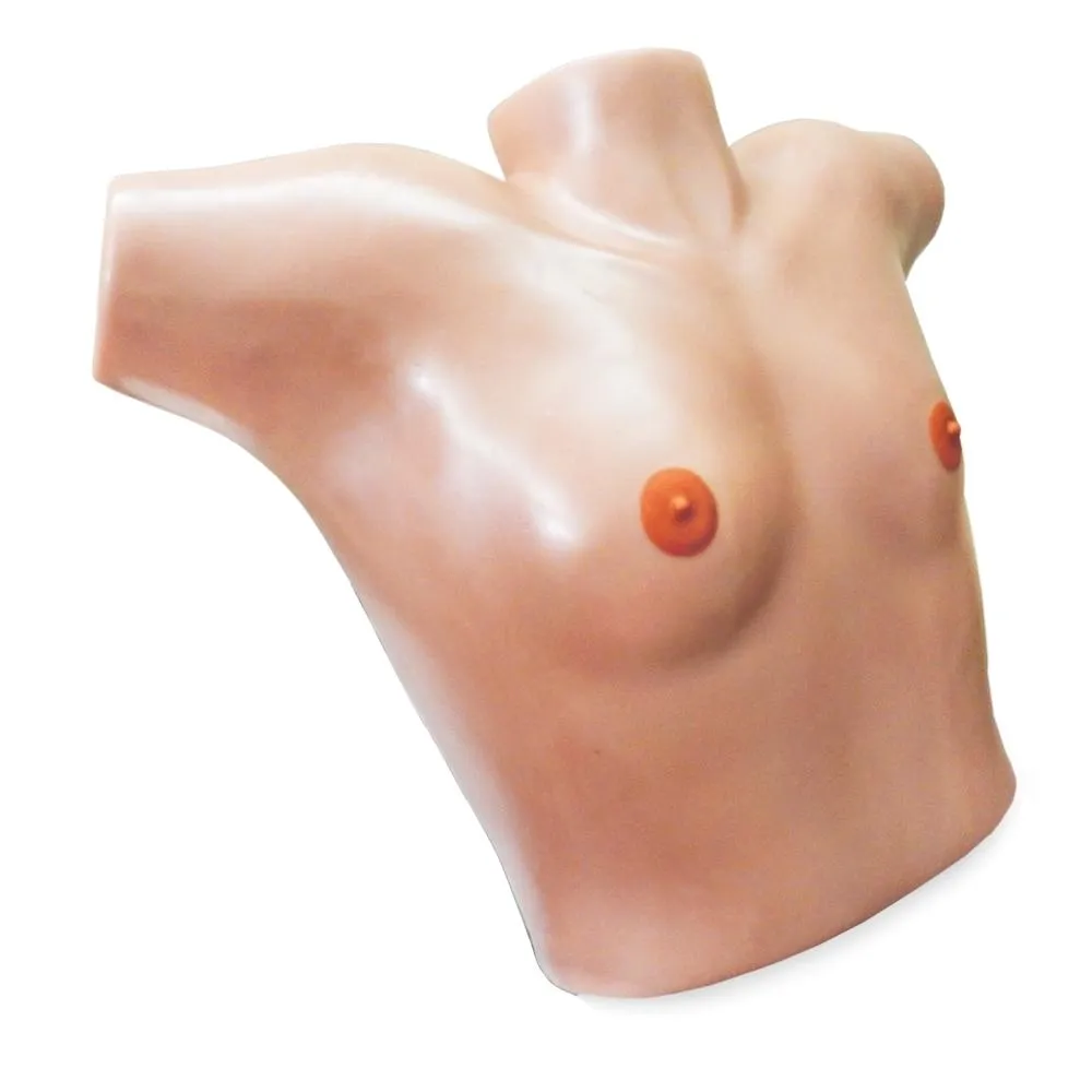 Mastotrainer Breast Surgical Trainer, Small And Asymmetrical