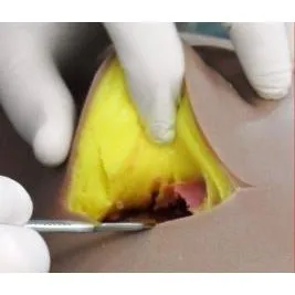 Mastotrainer Breast Surgical Trainer, Small And Asymmetrical