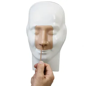 Nose Bleed - Epistaxis Trainer
