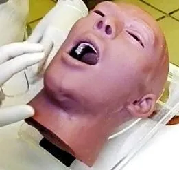 Oral and Maxillo Facial Surgery Simulator with Optional Fractures