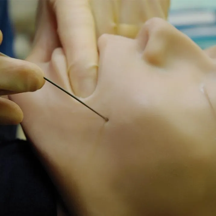 Pain Relief and Nerve Block Manikin