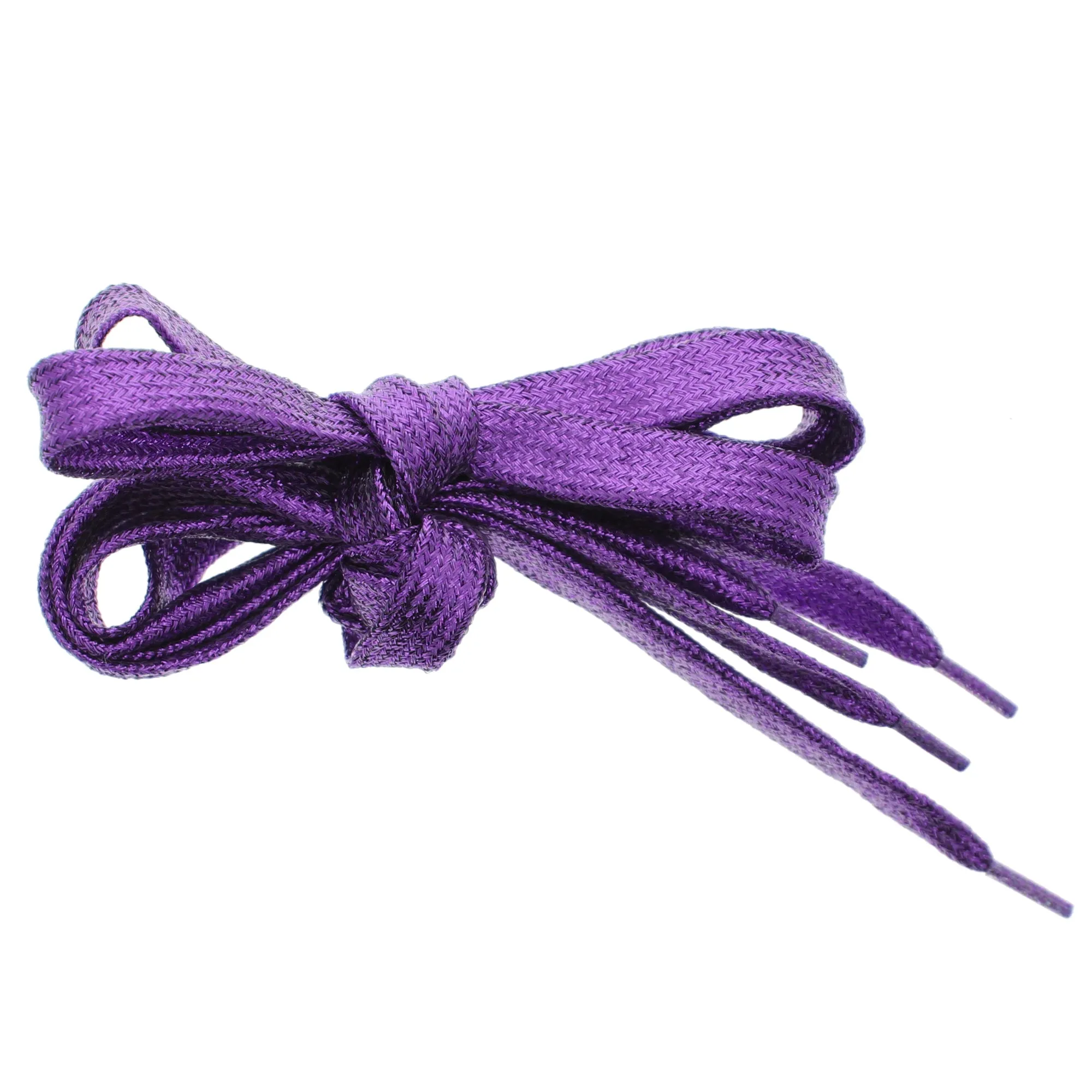 Pair of Glitter Shoelaces
