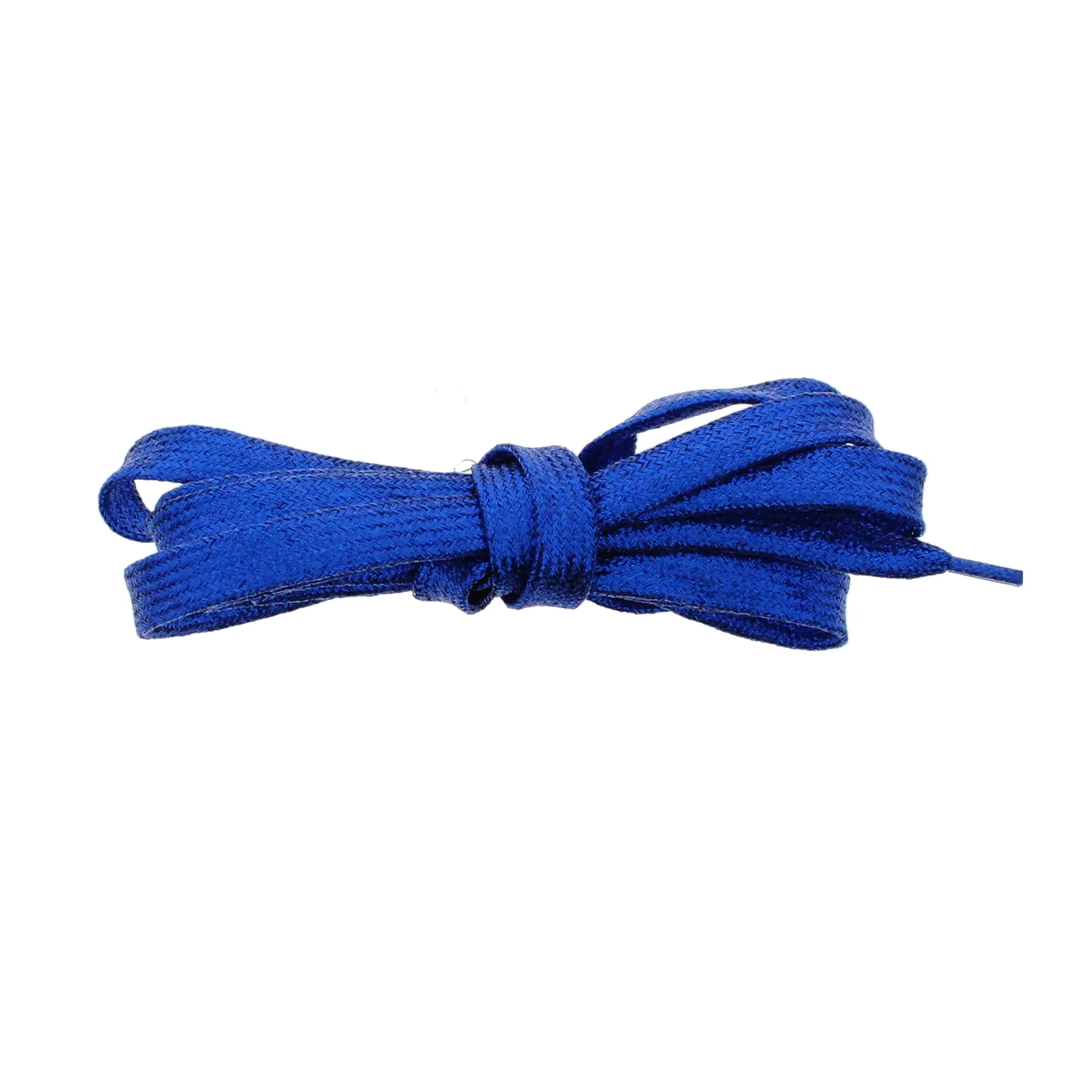 Pair of Glitter Shoelaces