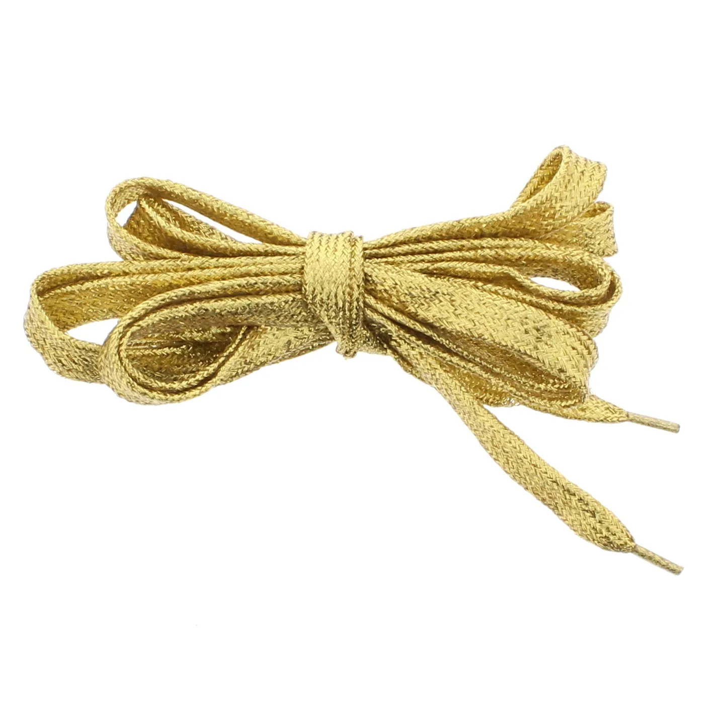 Pair of Glitter Shoelaces