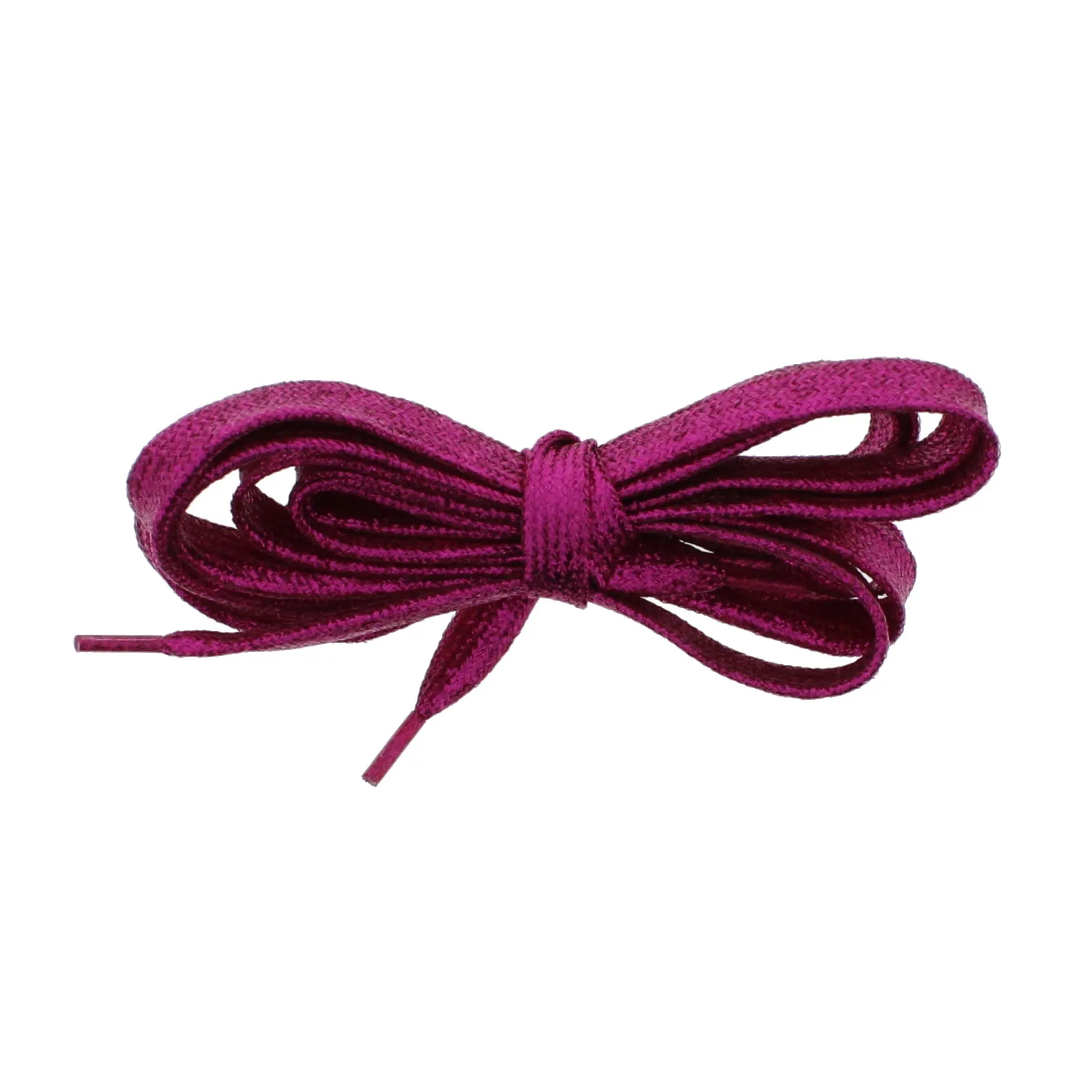 Pair of Glitter Shoelaces