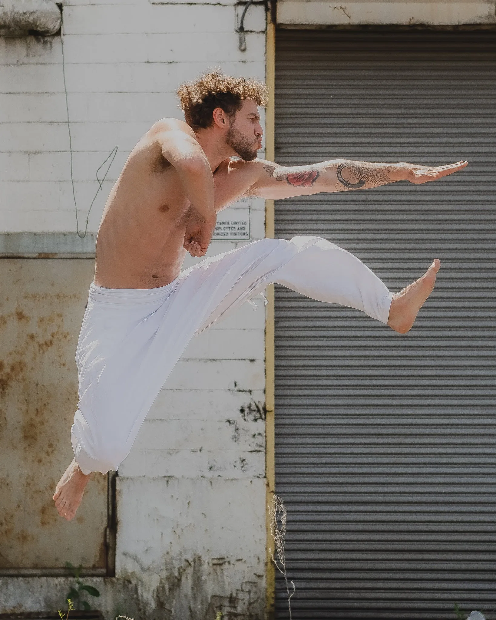 San Fran Organic Harem Pant