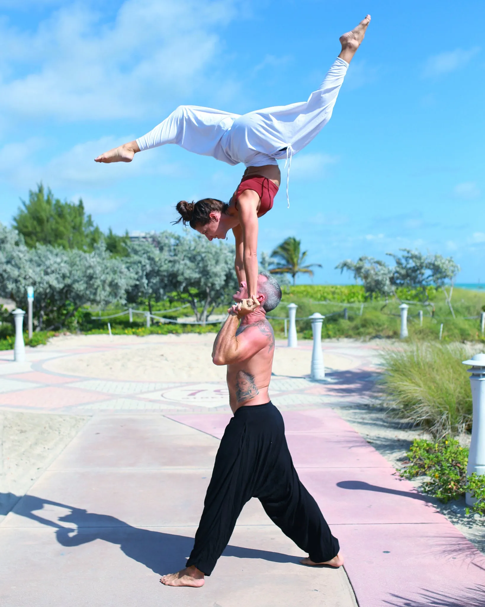 San Fran Organic Harem Pant