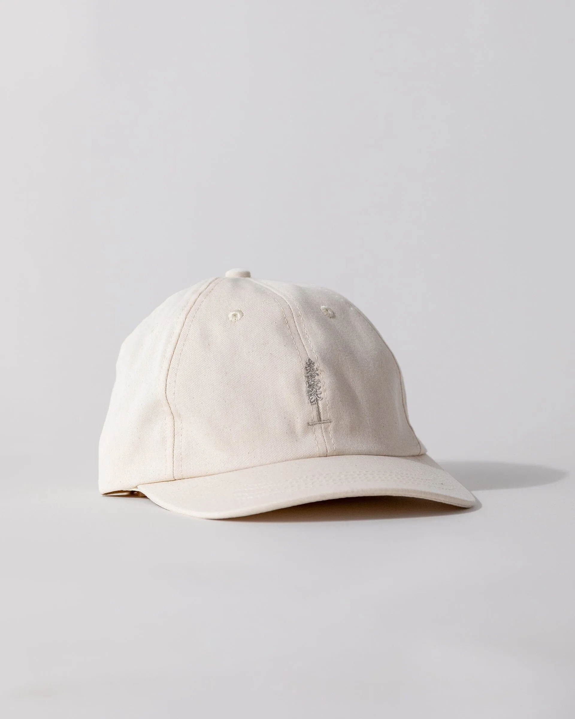The Everyday Cap
