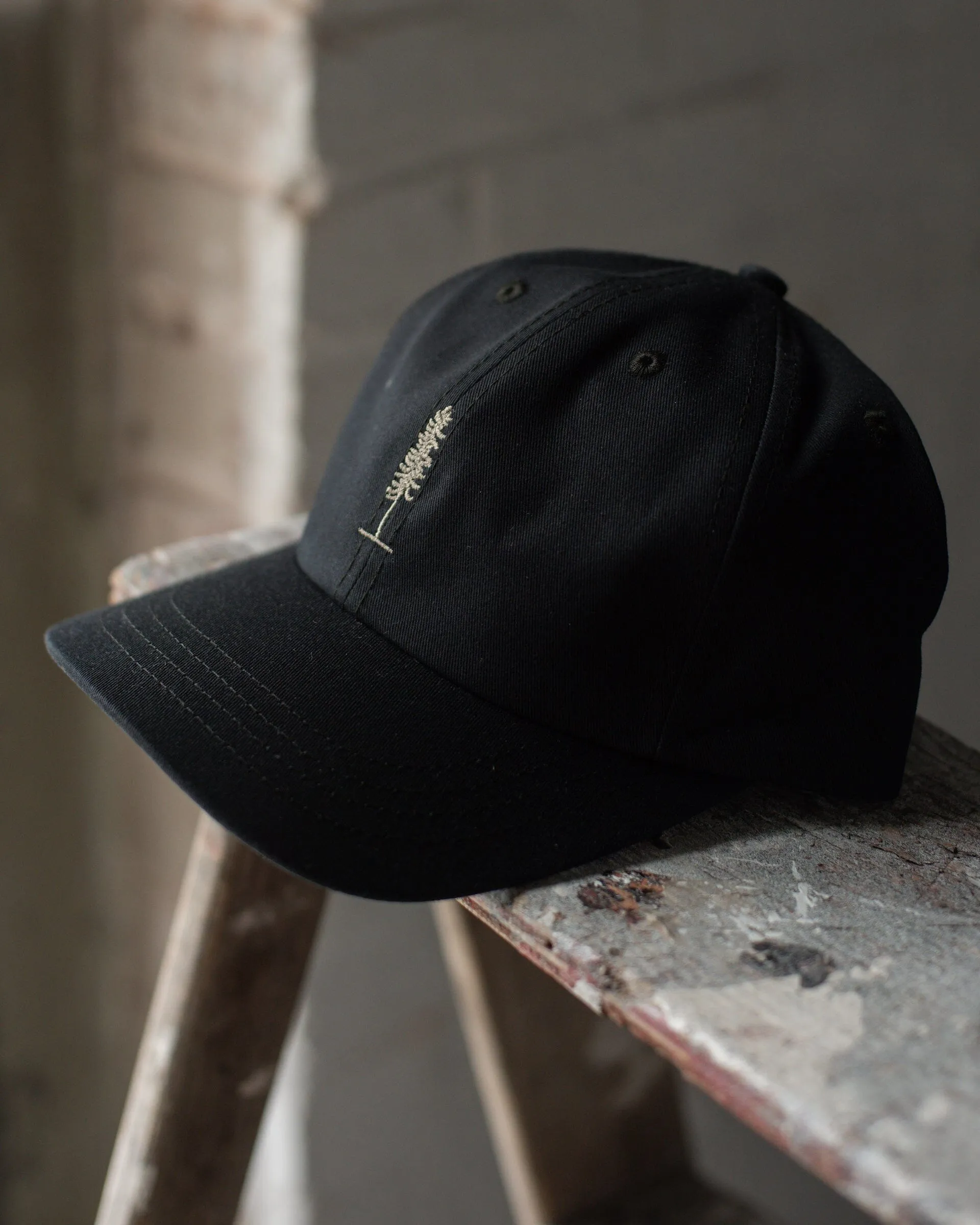 The Everyday Cap