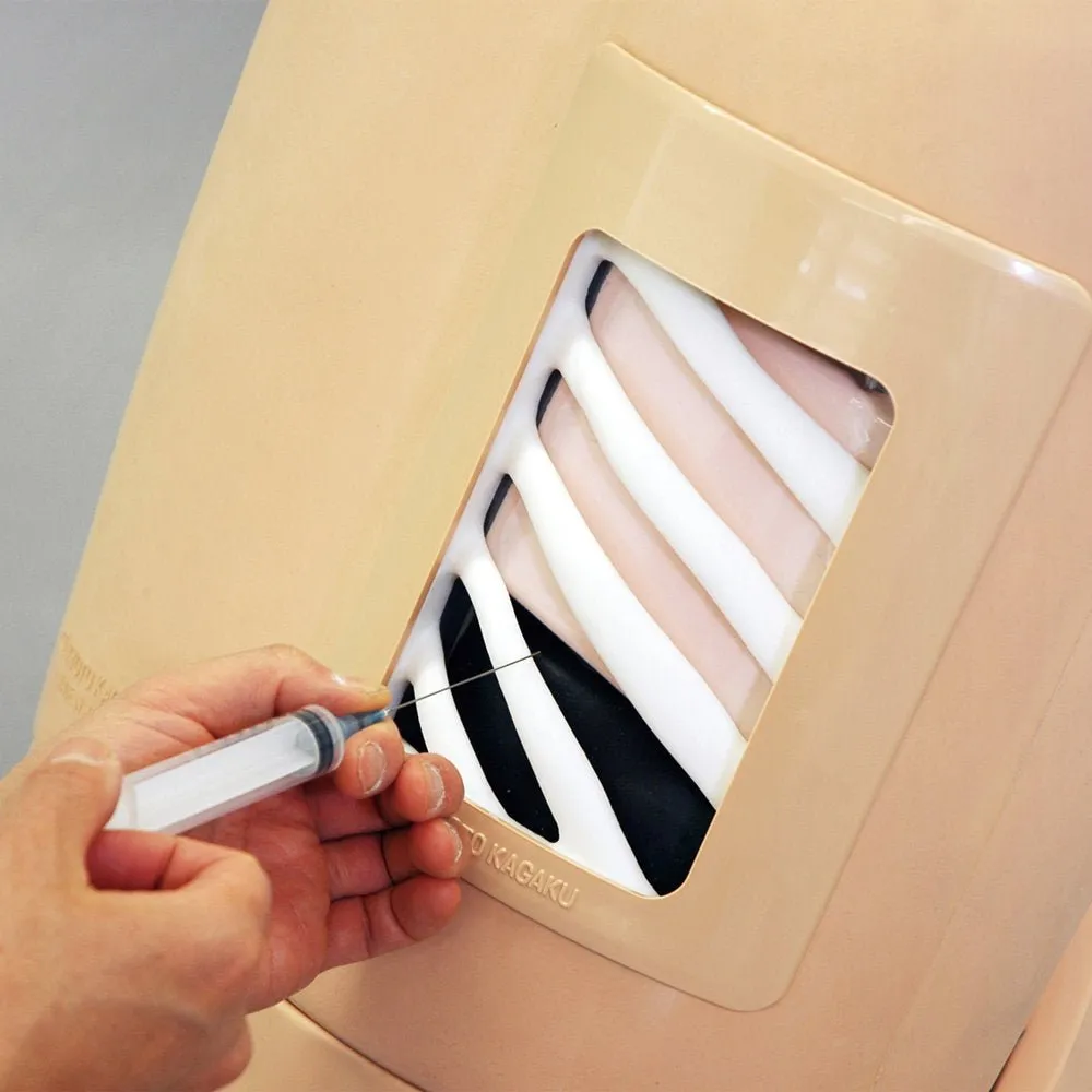 Ultrasound-Guided Thoracentesis Simulator